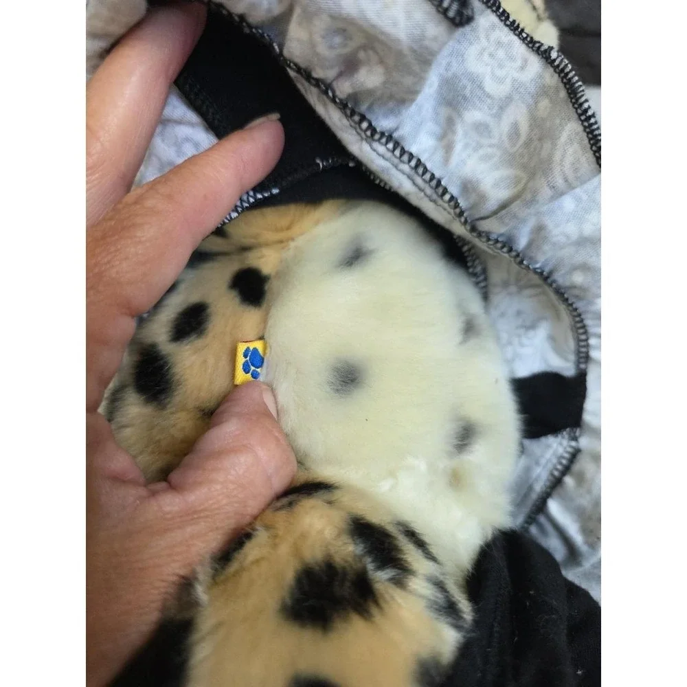 N/A build bear